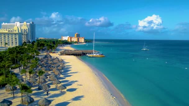 Palm Beach Aruba Karib Tenger Fehér Hosszú Homokos Strand Pálmafákkal — Stock videók
