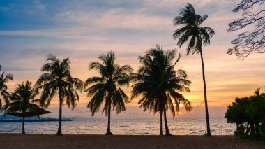 Na Jomtien Sahili Pattaya Tayland, Pattaya Najomtien 'de günbatımında palmiye ağaçları olan beyaz bir plaj. Sahilde palmiye ağaçları