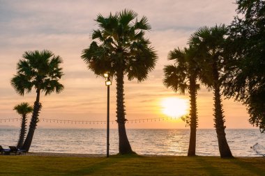 Pattaya Najomtien 'de gün batımında beyaz tropikal plaj. Gün batımında sahilde palmiye ağaçları.