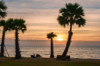 Gün batımında Na Jomtien Pattaya Tayland sahilinde palmiye ağaçları, Pattaya 'da günbatımında beyaz bir tropik plaj. Sahilde palmiye ağaçları.