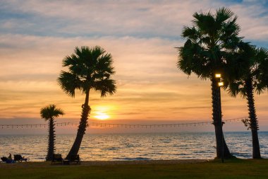 Gün batımında Na Jomtien Pattaya Tayland sahilinde palmiye ağaçları, Pattaya 'da günbatımında beyaz bir tropik plaj. Sahilde palmiye ağaçları.