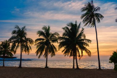 Gün batımında Na Jomtien Pattaya Tayland sahilinde palmiye ağaçları, Pattaya 'da günbatımında beyaz bir tropik plaj. Sahilde palmiye ağaçları.