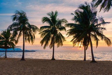 Gün batımında Na Jomtien Pattaya Tayland sahilinde palmiye ağaçları, Pattaya 'da günbatımında beyaz bir tropik plaj. Sahilde palmiye ağaçları.