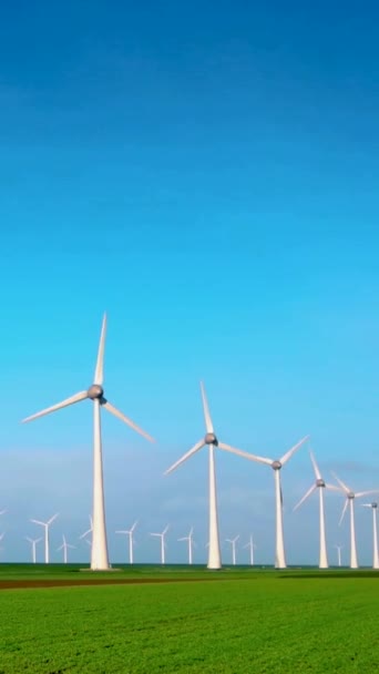 Drón Kilátás Szélmalom Turbinák Szélmalom Park Felhők Kék — Stock videók