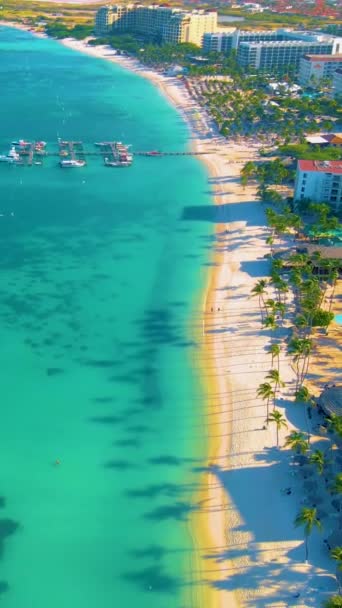 パームビーチアルバ カリブ海 アルバ アンティルのヤシの木がある白い長い砂浜 ドローンビュー — ストック動画