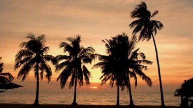 Pattaya Najomtien 'de gün batımında beyaz tropikal plaj. Gün batımında sahilde palmiye ağaçları.