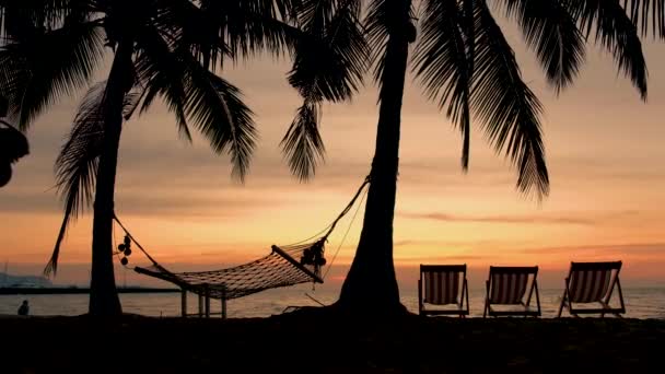 ナジョムティエンビーチで日没時にヤシの木とビーチチェア パタヤタイ — ストック動画