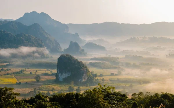 Sunrise Fog Mist Phu Langka Mountains Northern Thailand Mountain View — Photo