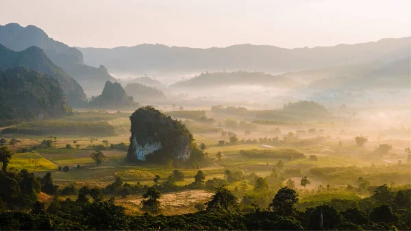 Beautiful Sunrise Fog Mist Phu Langka Mountains Northern Thailand Mountain — Stock Fotó
