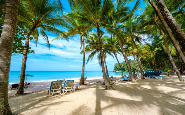 Surin Beach Palm Trees Beach Chairs Sunny Day Phuket Thailand — Photo