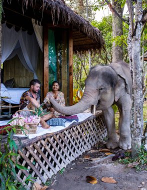 Chiang Mai Tayland 'daki bir fil tapınağını ziyaret eden bir çift, Chiang Mai Tayland' ın dağlarındaki bir fil çiftliği. 