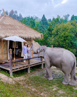 Chiang Mai Tayland 'daki bir fil tapınağını ziyaret eden bir çift, Chiang Mai Tayland' ın dağlarındaki bir fil çiftliği. 