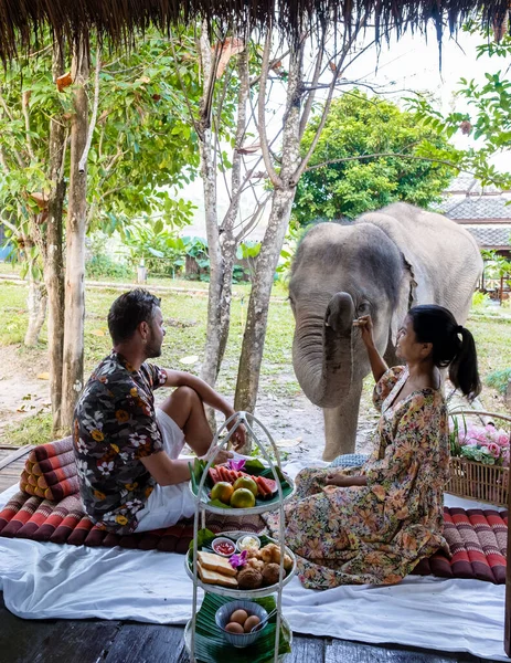 A couple visiting an Elephant sanctuary in Chiang Mai Thailand, an Elephant farm in the mountains jungle of Chiang Mai Thailand.