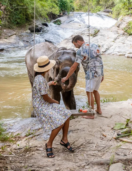A couple visiting an Elephant sanctuary in Chiang Mai Thailand during vacation, an Elephant farm in the mountains jungle of Chiang Mai Thailand.