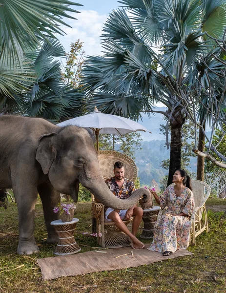 Couple Visiting Elephant Sanctuary Chiang Mai Thailand Vacation Elephant Farm — Stock Photo, Image