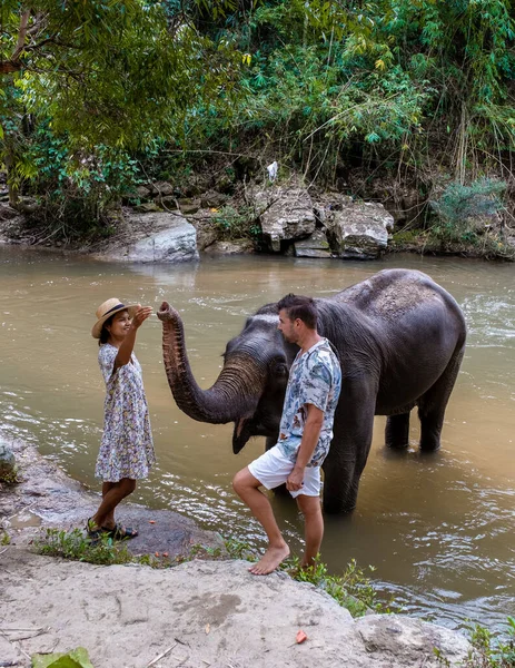 A couple feeding an Elephant sanctuary in Chiang Mai Thailand by a river, an Elephant farm in the mountains jungle of Chiang Mai Thailand.