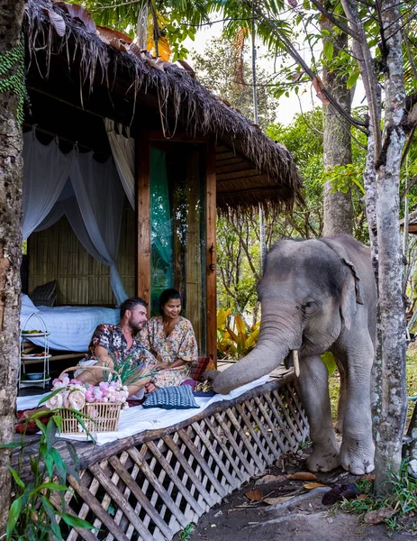 Couple Visiting Elephant Sanctuary Chiang Mai Thailand — Photo