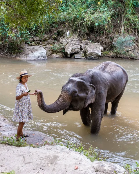 Asian Woman Visiting Elephant Sanctuary Chiang Mai Thailand Girl Elephant — Photo