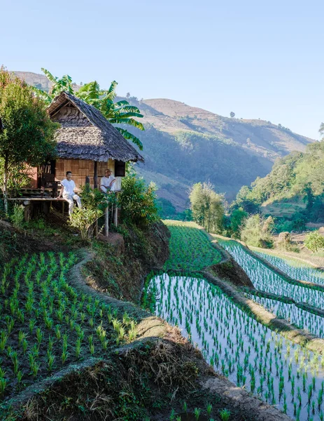 Bir Çift Kuzey Tayland Pirinç Tarlaları Olan Bir Pirinç Çiftliğini — Stok fotoğraf