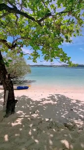 Tropical Island Koh Kham Koh Chang Archipelago Trat Thailand — Stok video