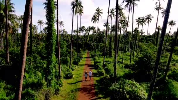 Couple Men Women Walking Road Tall Coconut Palm Trees Island — Wideo stockowe