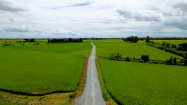 road with green rice paddy fields in the countryside of Thailand.