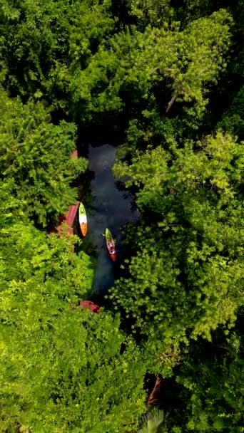 Drone View Couple Kayak Rainforest Jungle Krabi Thailand Summer Vacation — Wideo stockowe
