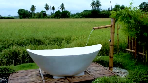 White Bathtub Green Rice Paddy Field Thailand Vacation Homestay Farm — Stockvideo