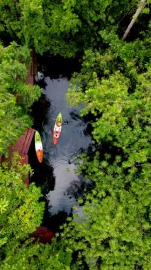 drone view at a couple in a kayak in the rainforest jungle of Krabi Thailand during summer vacation in Thailand