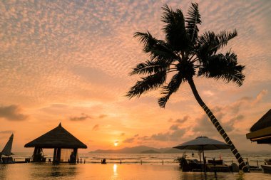 Beach chairs at a swimming pool at a luxury hotel, sun bed, and umbrella. 