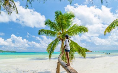 Young woman at a palm tree on a white tropical beach with turquoise colored ocean Anse Volbert beach Praslin Tropical Seychelles Islands. Cote Dor beach
