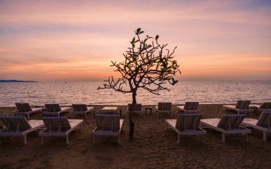 beach chairs on the beach during sunset on the beach of Pattaya Thailand in the evening