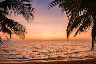 sunset on the beach of Pattaya Thailand in the evening with palm trees