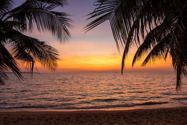 sunset on the beach of Pattaya Thailand in the evening with palm trees