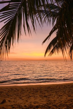 sunset on the beach of Pattaya Thailand in the evening with palm trees
