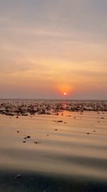 Sunrise at The sea of red lotus, Lake Nong Harn, Udon Thani, Thailand. 