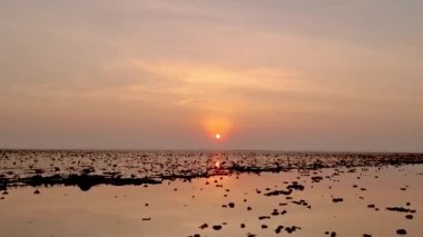 Sunrise at The sea of red lotus, Lake Nong Harn, Udon Thani, Thailand. 