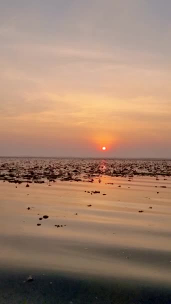赤い蓮の海での日の出 ハーン湖 うどん Thani Thailand — ストック動画