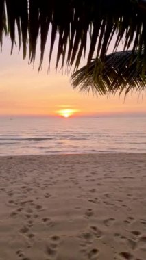 sunset on the beach of Pattaya Thailand in the evening with palm trees