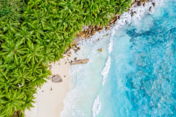 Drone View Tropical Beach Seychelles Mahe Island — Zdjęcie stockowe
