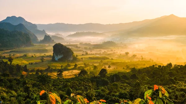Ανατολή Ηλίου Ομίχλη Και Ομίχλη Στα Βουνά Phu Langka Στη — Φωτογραφία Αρχείου