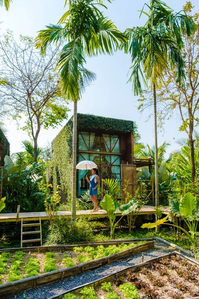 Asiatische Frauen Spazieren Mit Sonnenschirm Einem Holzhaus Inmitten Von Palmen — Stockfoto