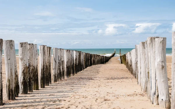 夏季在荷兰Zeeland的Domburg海滩上的海滩杆 — 图库照片