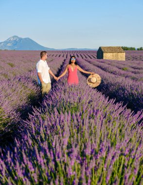 Provence, Lavanta tarlası Fransa, Valensole Platosu, Lavanta çiçekli renkli bir tarla, Provence, Güney Fransa Birkaç erkek ve kadın Güney Fransa Provence 'da tatildeler.