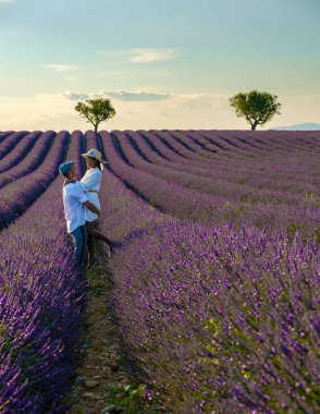 Provence, Lavanta tarlası Fransa, Valensole Platosu, lavanta rengi bir plato, Valensole Platosu, Provence, Güney Fransa Birkaç erkek ve kadın Provence 'de tatildeler.