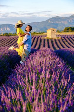 Provence, Lavanta tarlası Fransa, Valensole Platosu, Lavanta Platosu, Provence, Güney Fransa