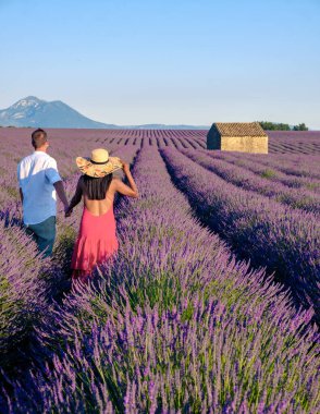 Provence, Lavanta tarlası Fransa, Valensole Platosu, Lavanta çiçekli renkli bir tarla, Provence, Güney Fransa Birkaç erkek ve kadın Güney Fransa Provence 'da tatildeler.