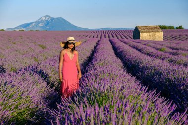 Provence, Lavanta tarlası Fransa, Valensole Platosu, Lavanta Platosu, Provence, Güney Fransa Asyalı kadınlar Fransa 'da tatilde.