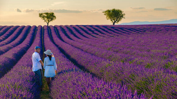 Provence, Lavender field France, Valensole Plateau, a colorful field of Lavender Valensole Plateau, Provence, Southern France Couple men and women on vacation at the Provence