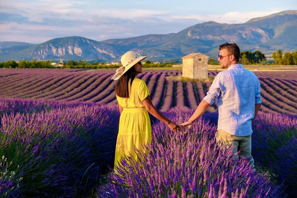 Provence Lavender Field France Valensole Plateau Colorful Field Lavender Valensole — стокове фото